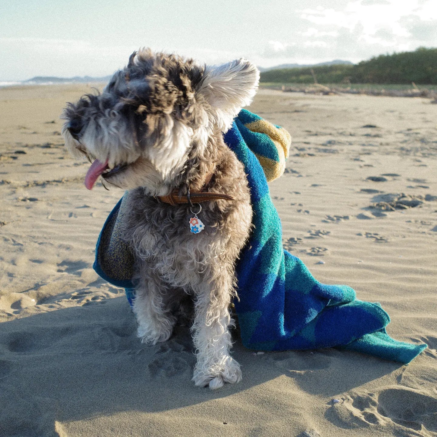 Dog & Key Charm - Flower