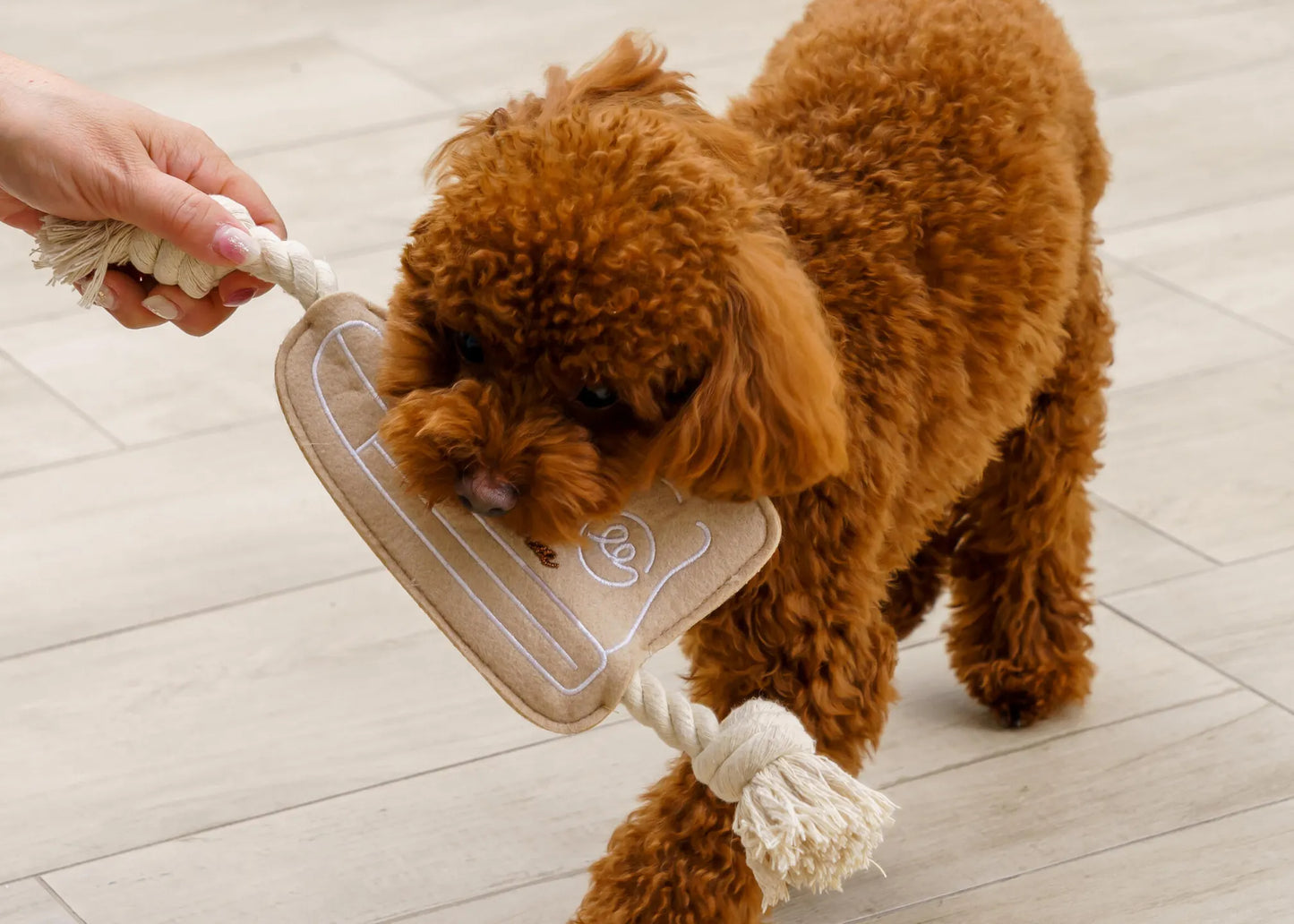 Pulling Rope Sneakers
