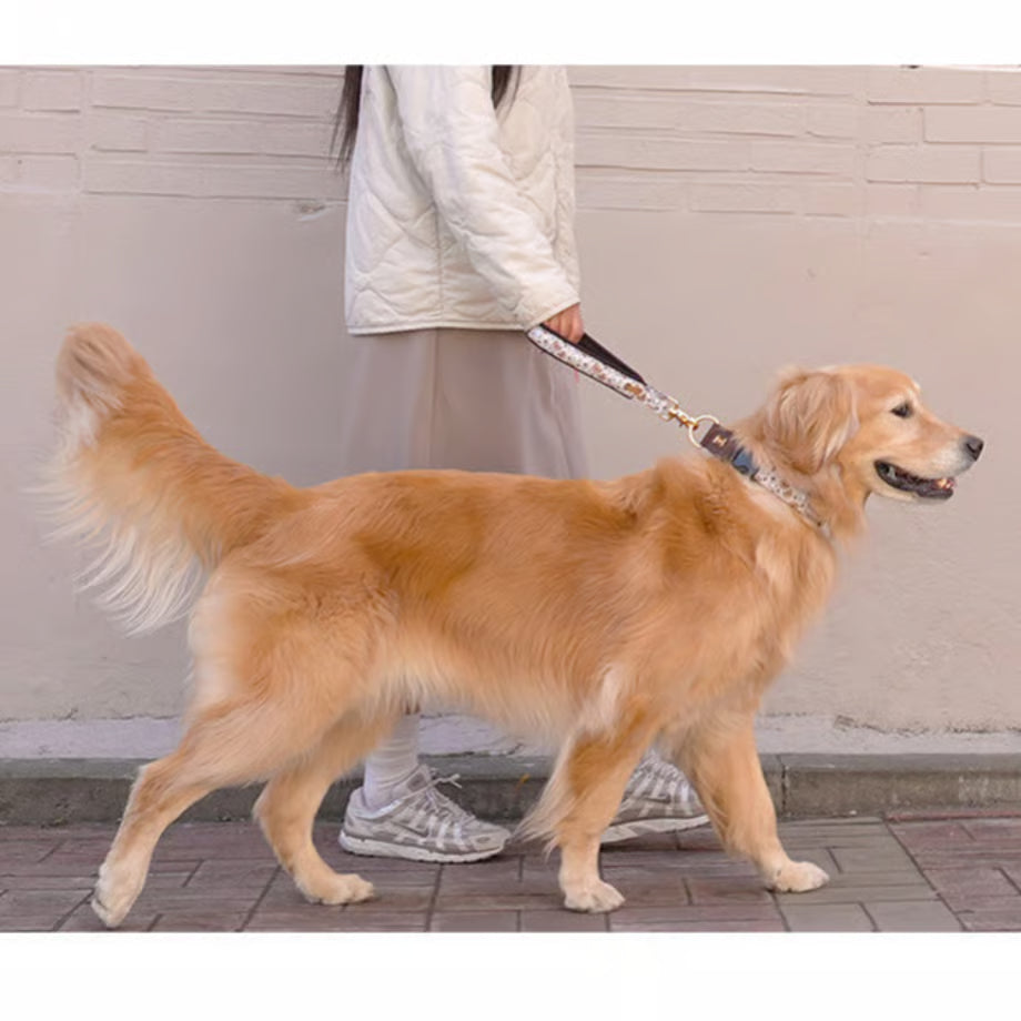 Character Collar - haru