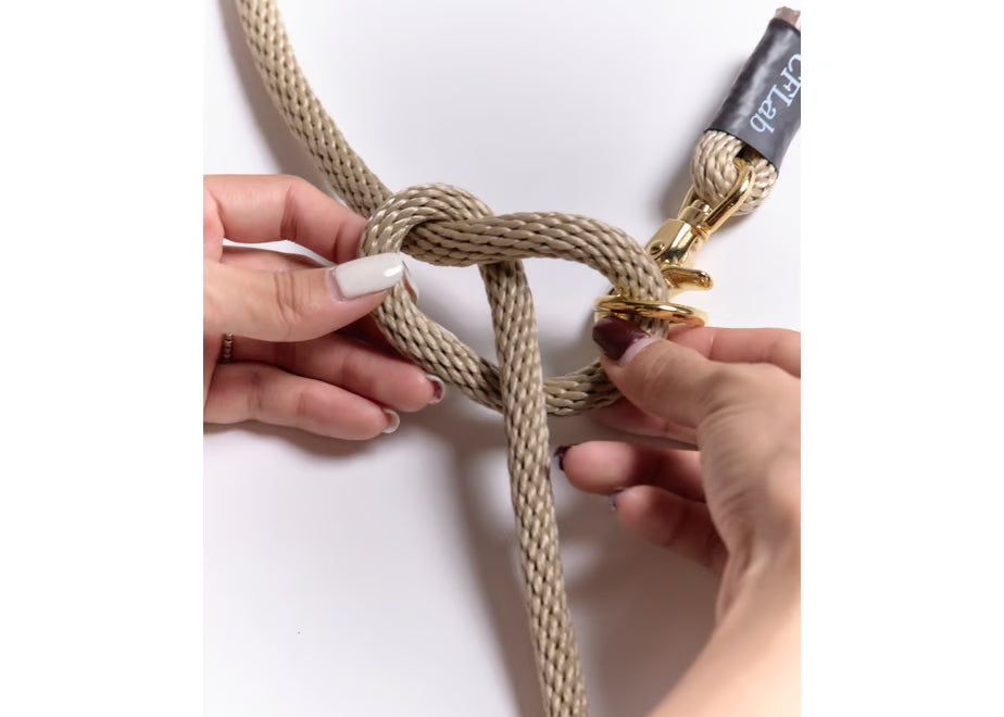 Hand Free Braid Leash - dark green