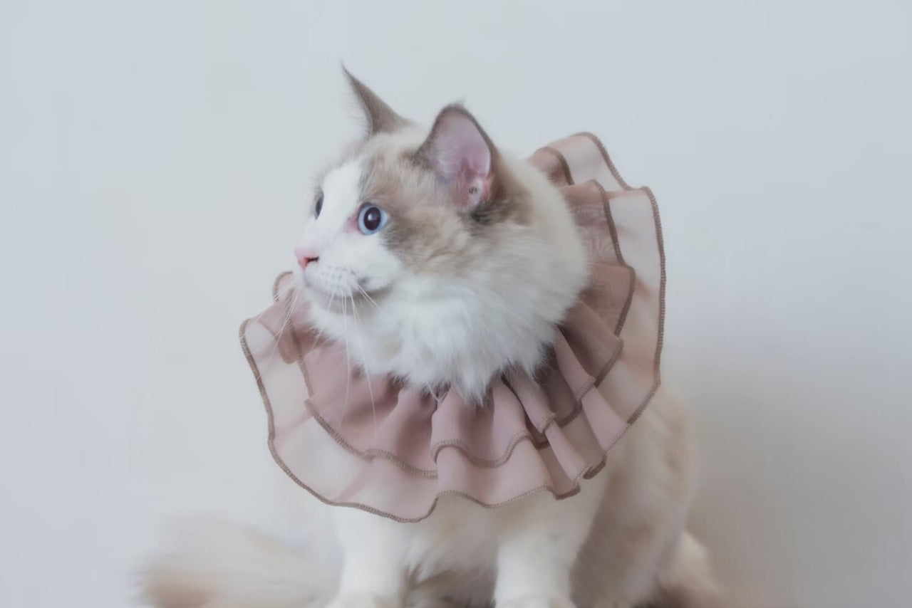 Chiffon Ruffle Pet Scrunchie | Pink Beige