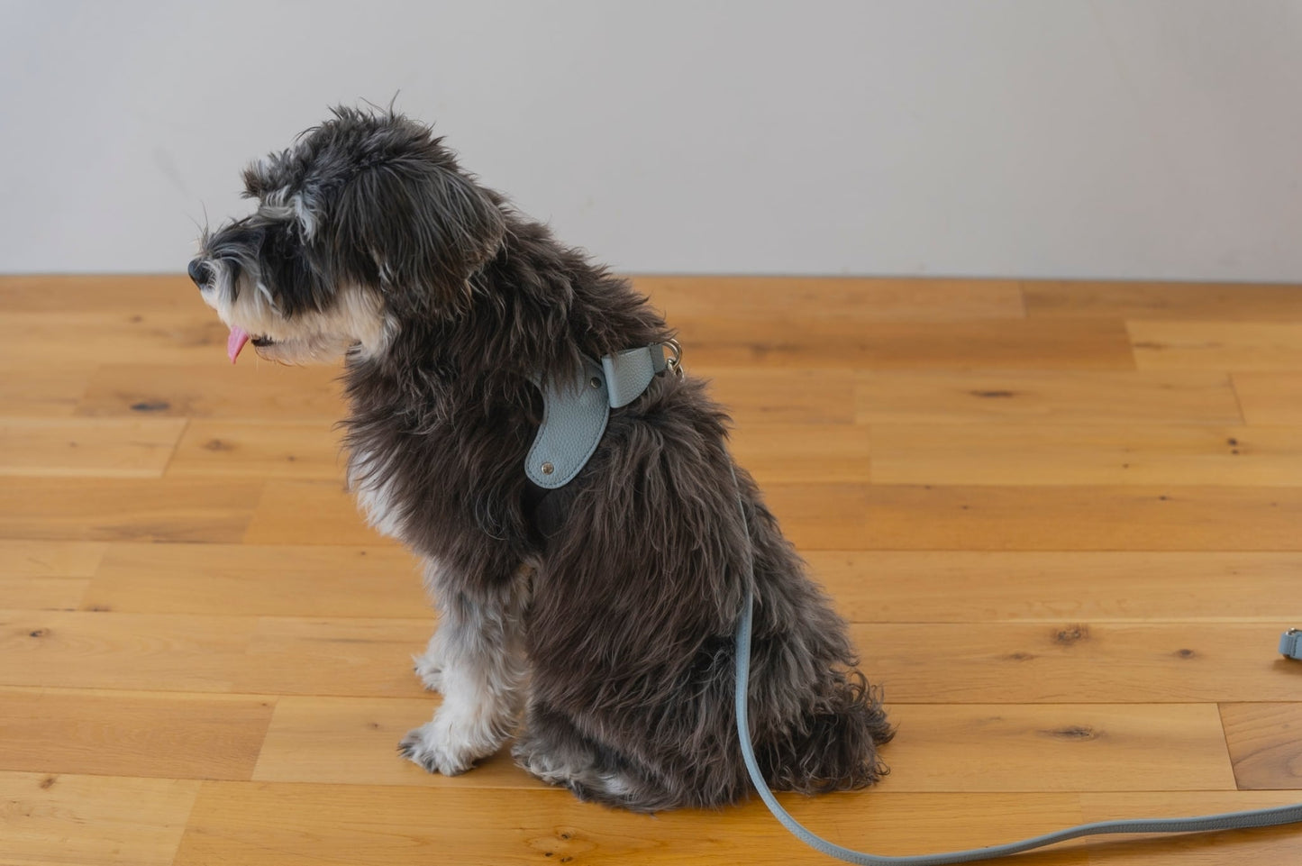 Ribbon Vegan Leather Harness | Blue