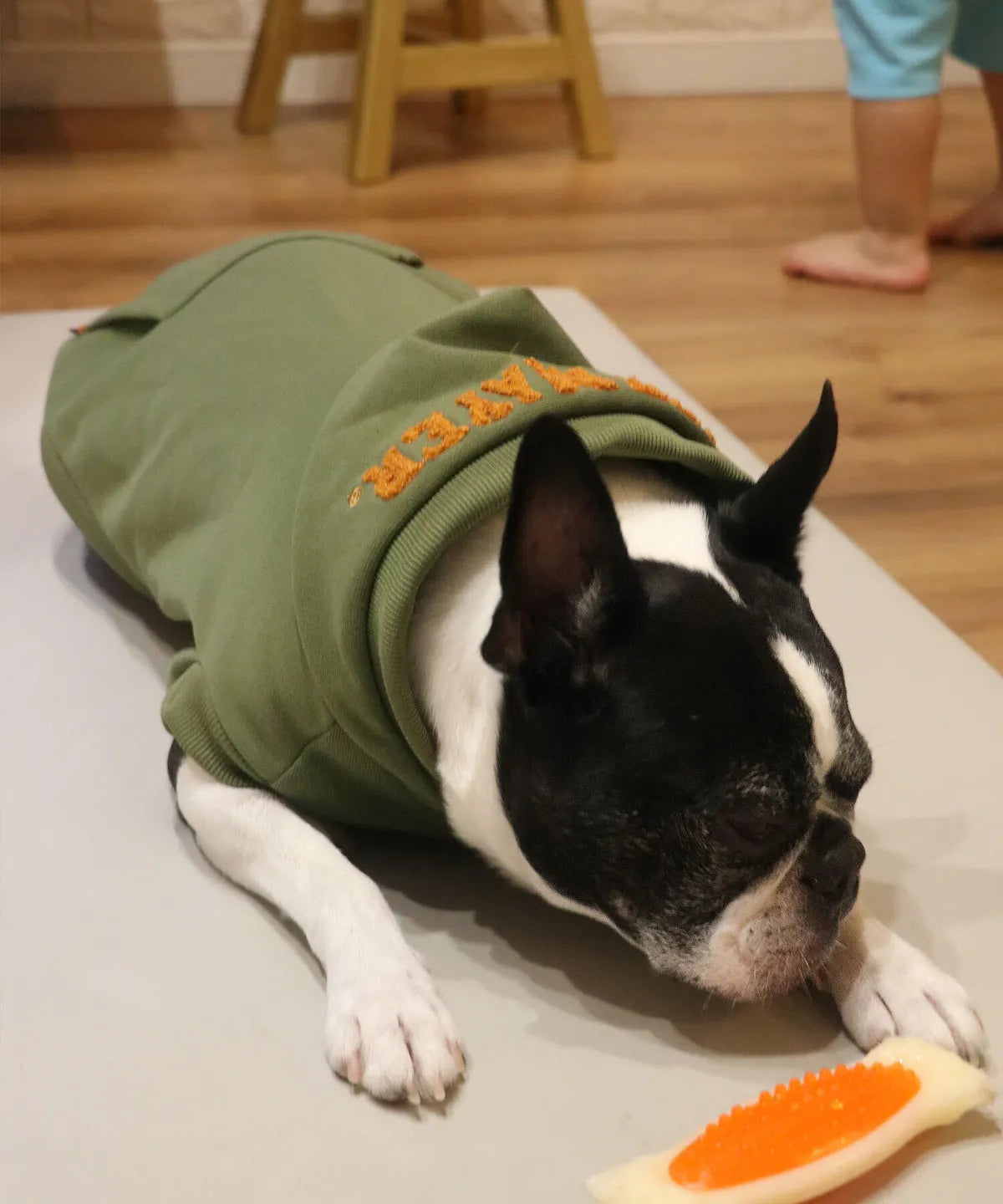 Brushed Back Fleece Dog Hoodie – Khaki