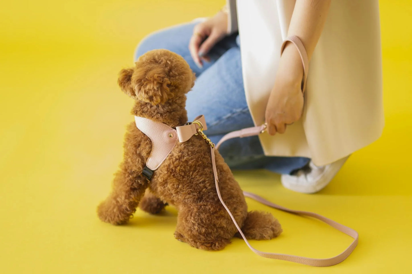 Leather Leash - pink