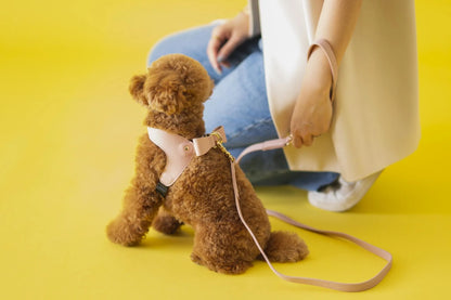 Leather Leash - pink