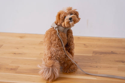 Ribbon Vegan Leather Harness | Brown