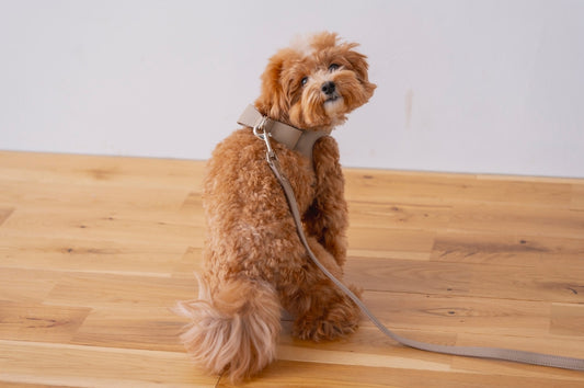 Ribbon Vegan Leather Harness | Brown