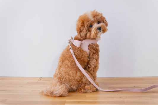 Ribbon Vegan Leather Harness | Pink