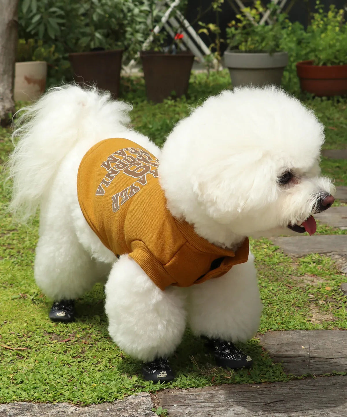 Dog Logo Sweatshirt Crew – Mustard