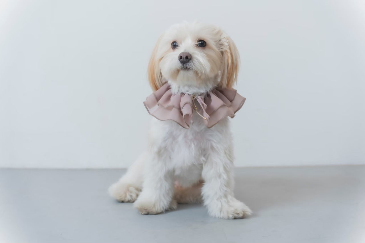 Chiffon Ruffle Pet Scrunchie | Pink Beige