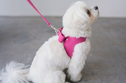 Ribbon Harness & Leash Set | Raspberry