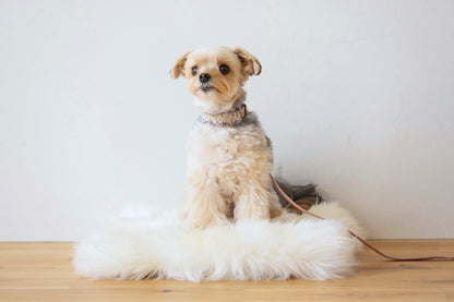 Pink Tweed & Eco-Suede Dog Collar | Pearl Charm