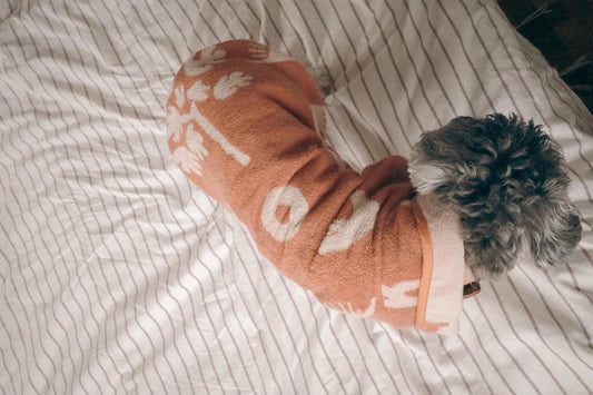 Dog Robe - Papaya Red