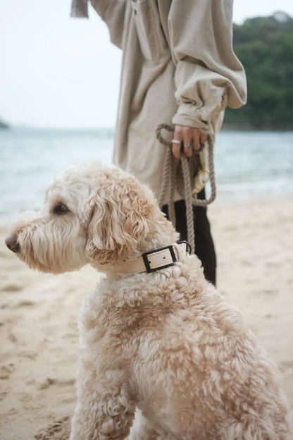 Ethical Leather Collar