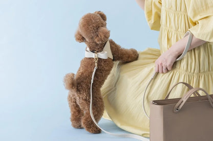 Leather Leash - greige