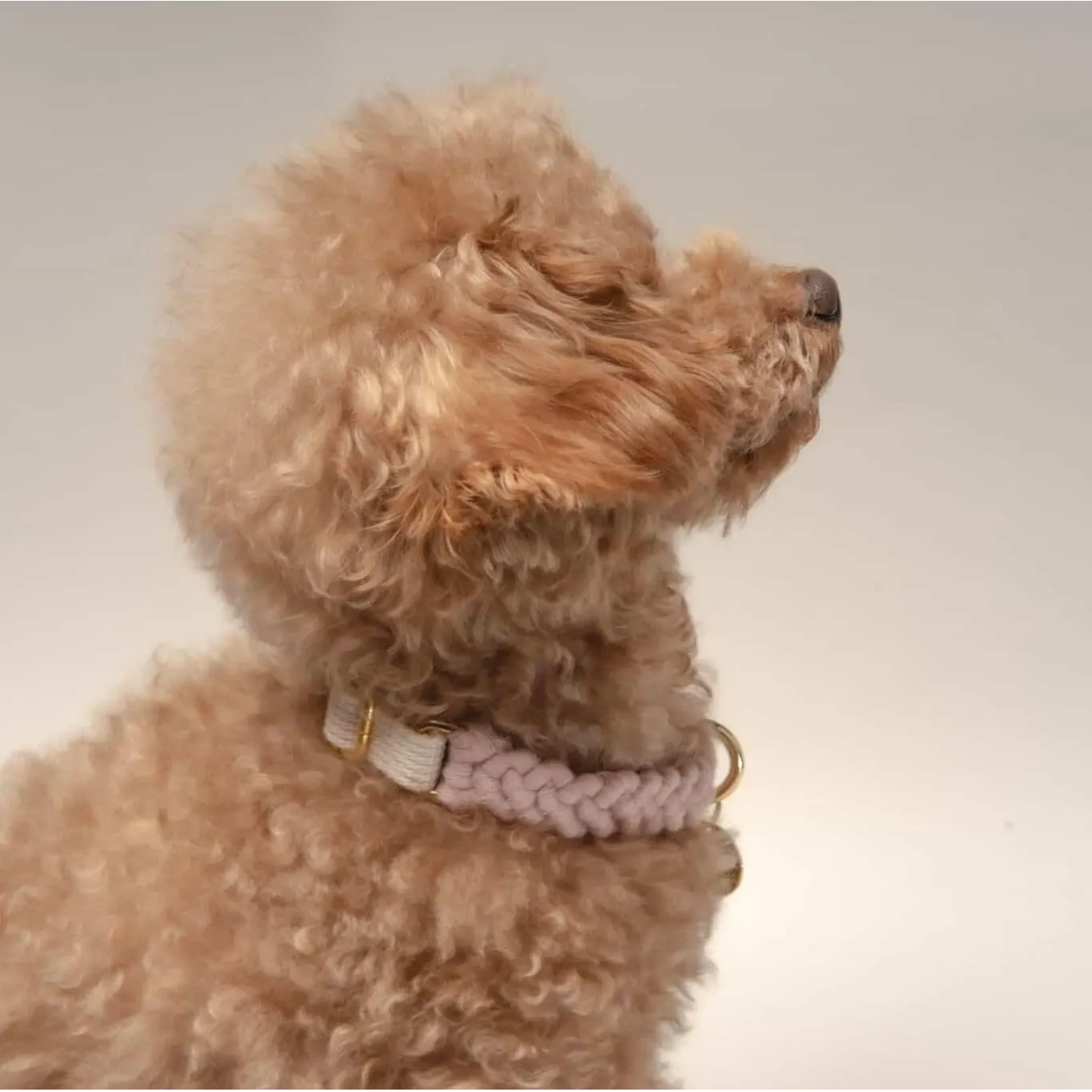 Macramé Collar - pink