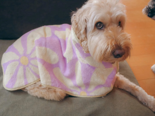 Dog Robe -  Lavender Flower