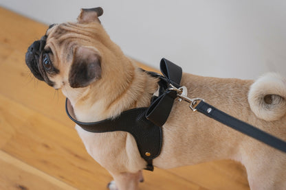 Ribbon Vegan Leather Harness | Black