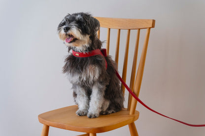 Ribbon Vegan Leather Harness | Red