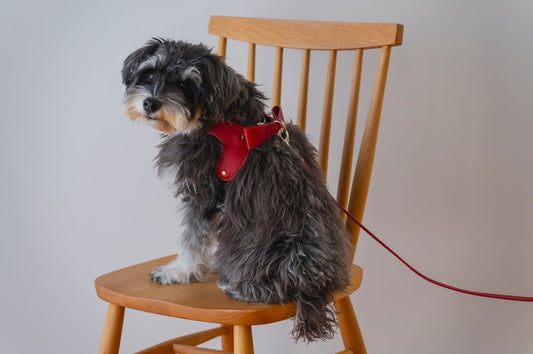 Ribbon Vegan Leather Harness | Red