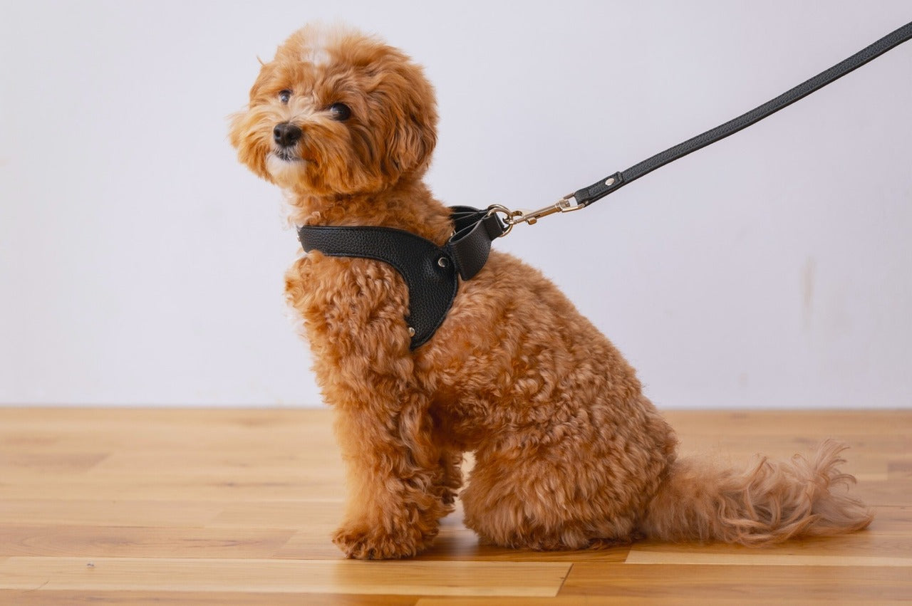 Ribbon Vegan Leather Harness | Black
