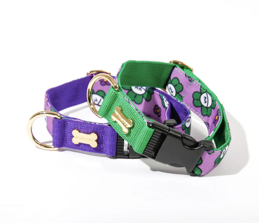 Character Collar - mr. clover