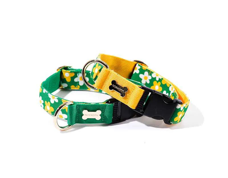 Character Collar - picnic