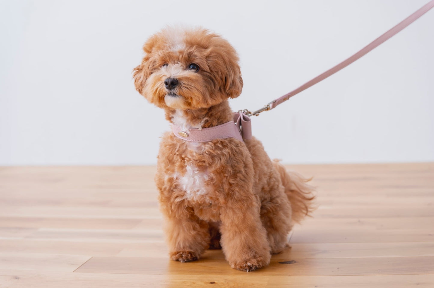 Ribbon Vegan Leather Harness | Pink
