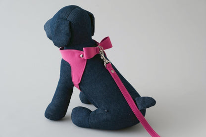 Ribbon Harness & Leash Set | Raspberry
