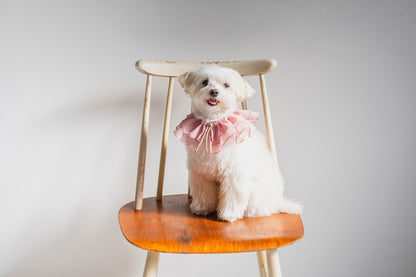 Chiffon Ruffle Pet Scrunchie | Pink