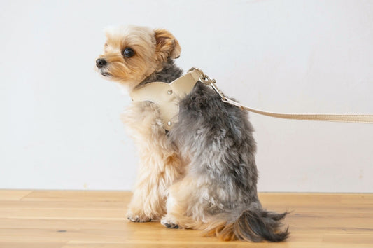 Ribbon Vegan Leather Harness | Beige