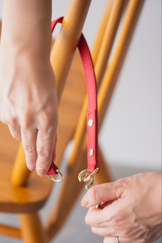 Red Snap-Handle Dog Leash | Small & Medium Dogs