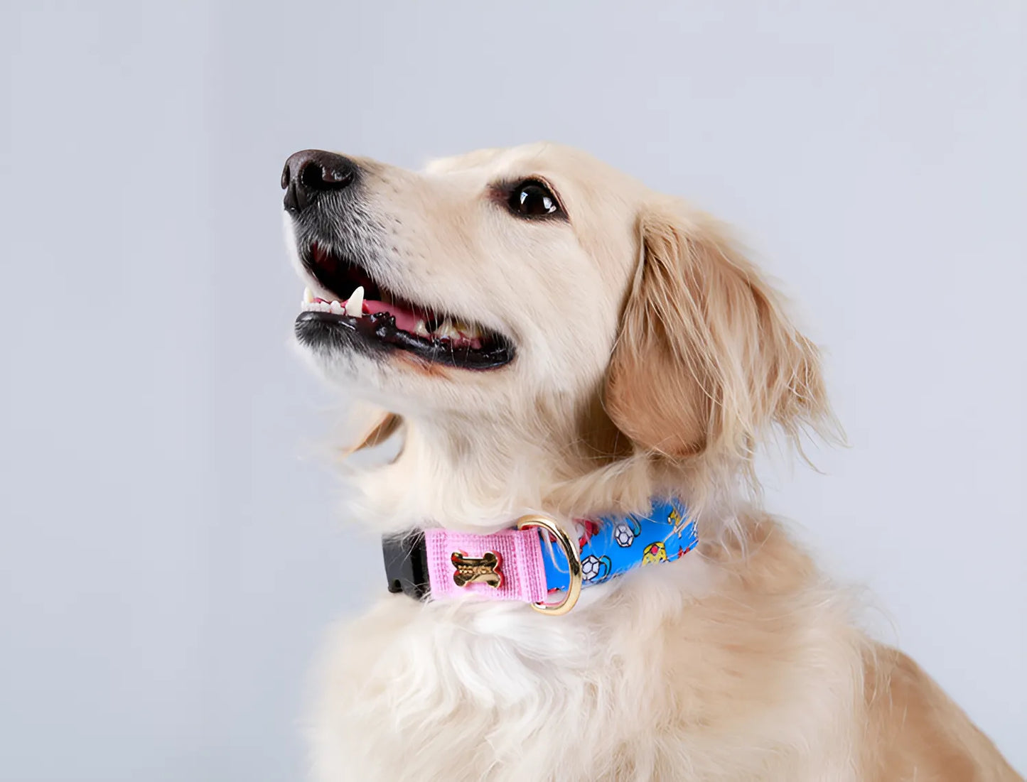 Character Collar - haru