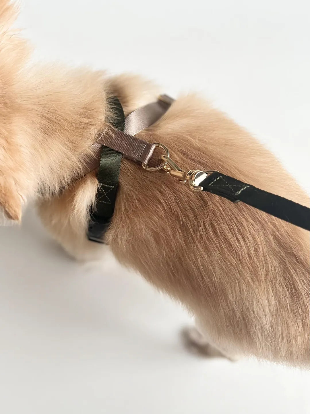 Dog Harness - khaki × beige