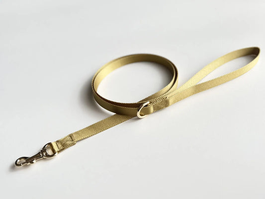 Dog Leash 15mm - yellow