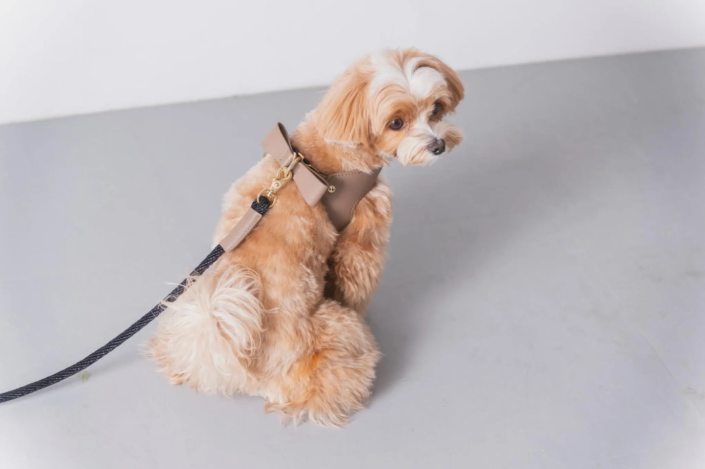 Ribbon Leather Harness - greige