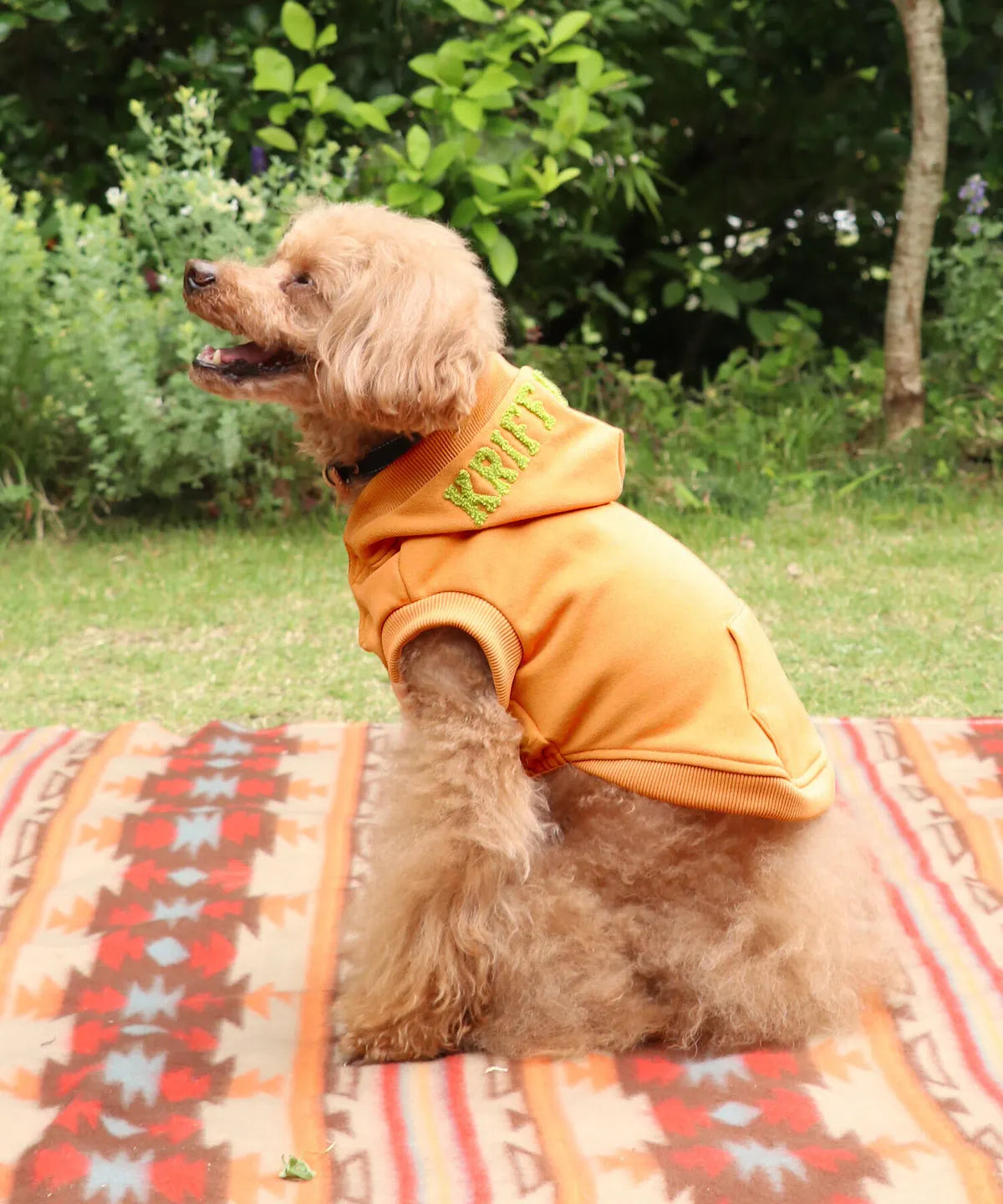 Brushed Back Fleece Dog Hoodie – Orange