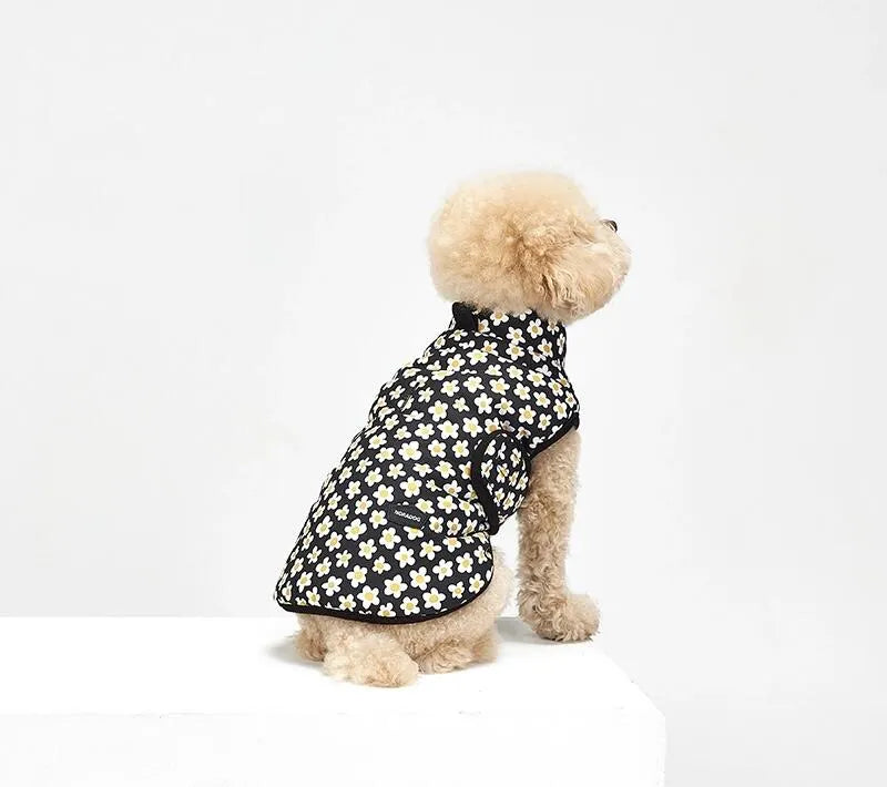 Down Jacket - Daisy Daisy