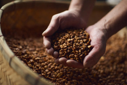 Kyoto Roasted Rice Green Tea Gift Set (East & West 24P)