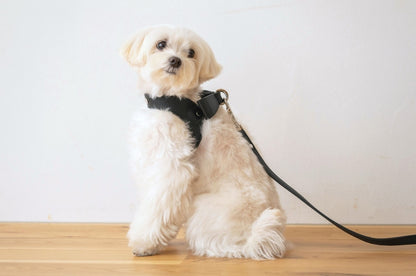 Ribbon Vegan Leather Harness | Black