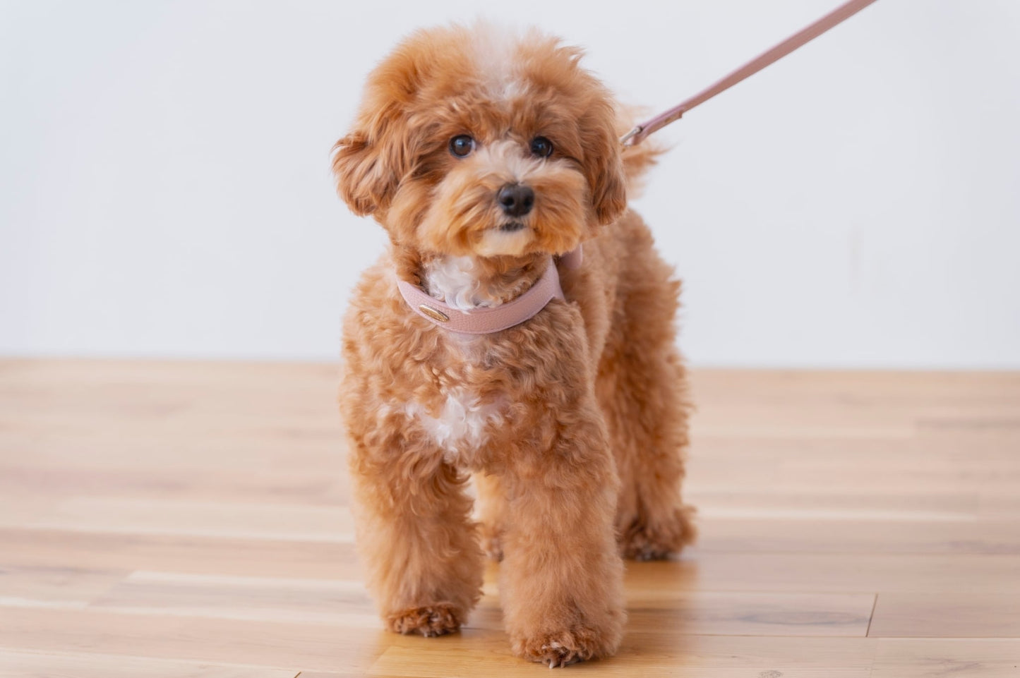 Ribbon Vegan Leather Harness | Pink