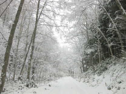 Fragrance Spray - Into The Snow