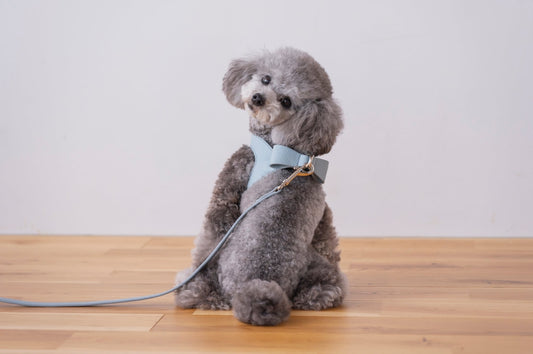 Ribbon Vegan Leather Harness | Blue