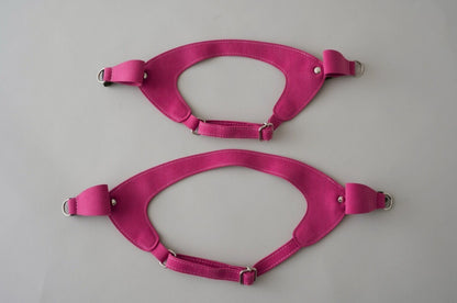 Ribbon Harness & Leash Set | Raspberry
