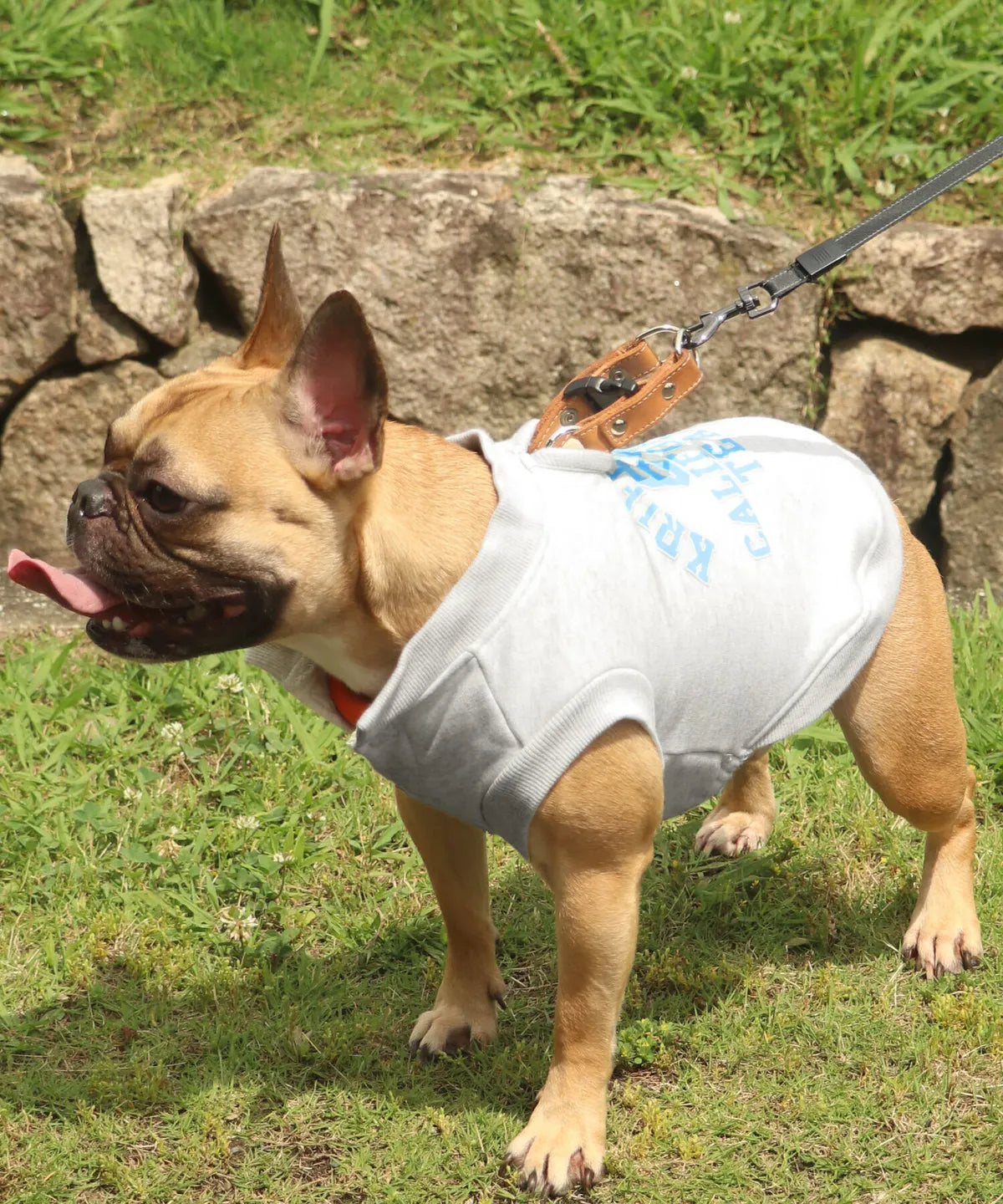 Dog Logo Sweatshirt Crew – Otmeal