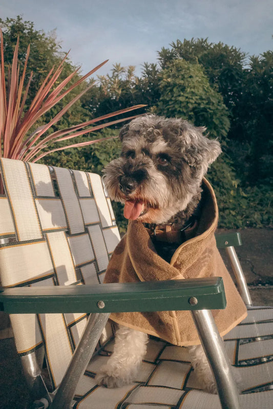 Dog Robe - Caramel Brown