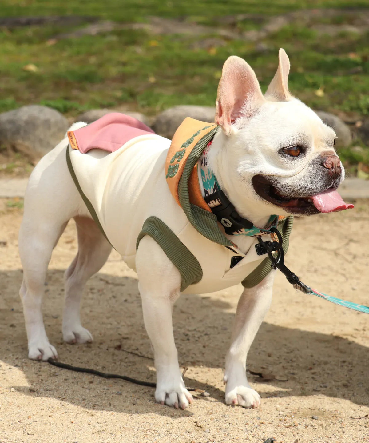 Brushed Back Fleece Dog Hoodie – Muti-Color