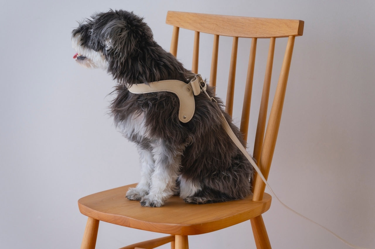 Ribbon Vegan Leather Harness | Beige