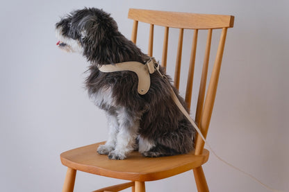 Ribbon Vegan Leather Harness | Beige
