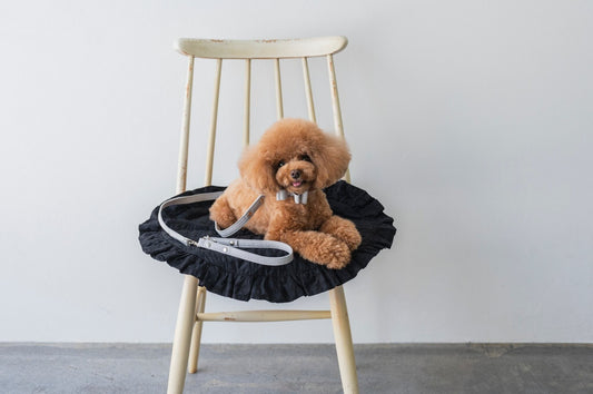 Light Gray Bow Tie Collar | Soft Eco-Suede